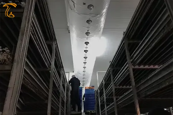 کانال انتشار هوا در سالن کشت قارچ