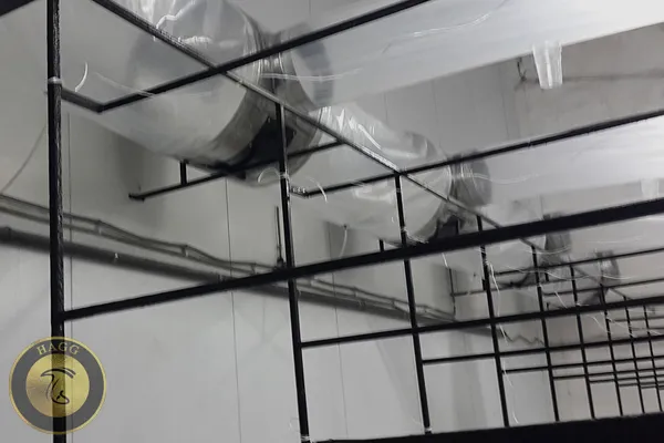 فلسفه وجودی هوادهی یا شوک در پرورش قارچ خوراکی