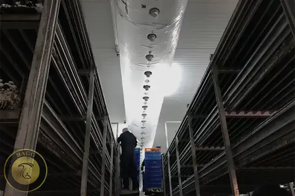 کانال انتشار هوا در سالن کشت قارچ