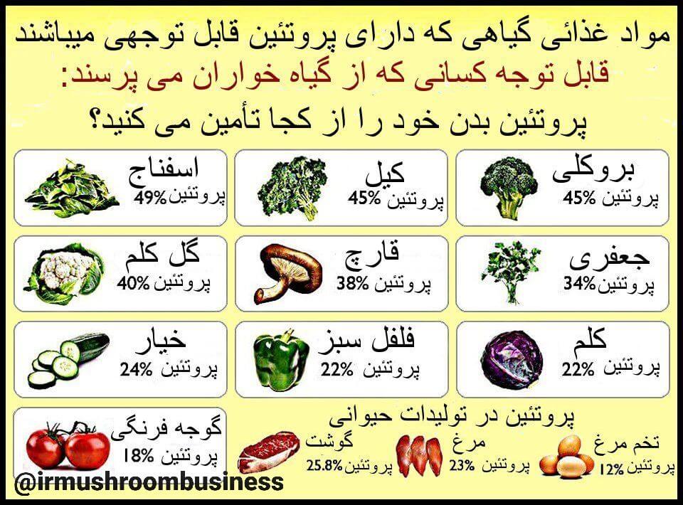 مقایسه پروتئین گیاهی و حیوانی