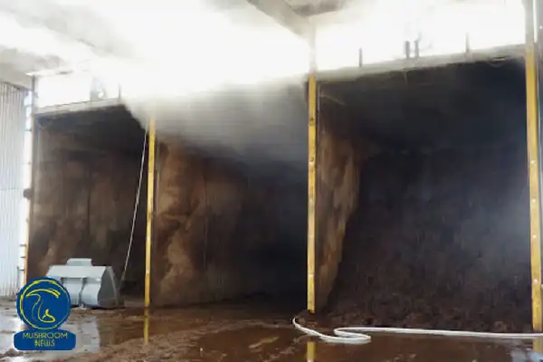 فاز دوم تولیدکمپوست قارچ - فرایند کمپوست سازی