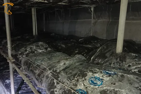 هر متر مربع چقدر کمپوست لازم است؟