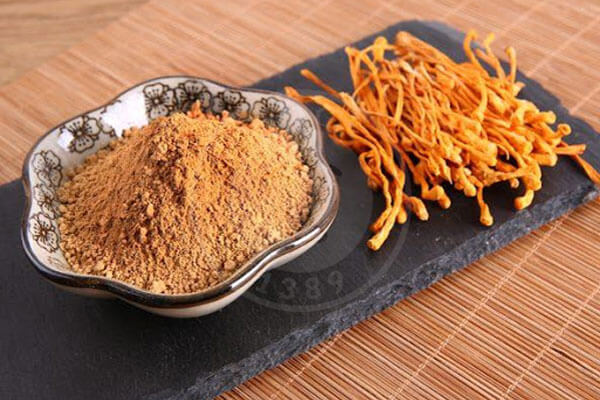 قارچ کرم ابریشم