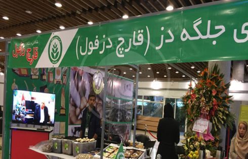 تصاویر دومین نمایشگاه بین‌المللی باغبانی