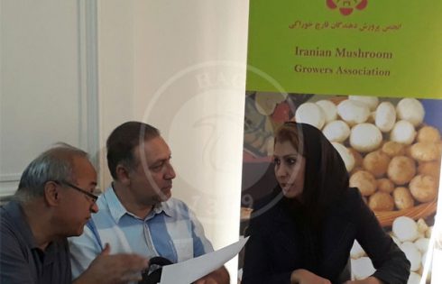 مجمع عمومی تولیدکنندگان قارچ خوراکی