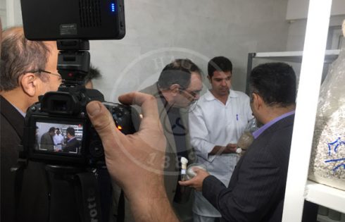 تصاویر بازدید از واحد قارچ سحر