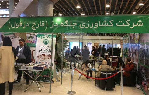 دومین نمایشگاه بین‌ المللی باغبانی