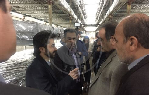 تصاویر بازدید از واحد قارچ سحر