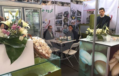 نمایشگاه بین‌المللی