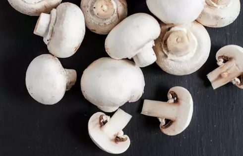 با مصرف روزانه و منظم قارچ از بیماری ها پیشگیری نمایید