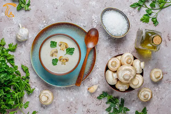 انواع سوپ‌قارچ و شیر