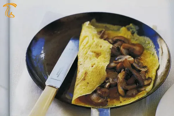 انواع املت قارچ برای وعده‌های گوناگون