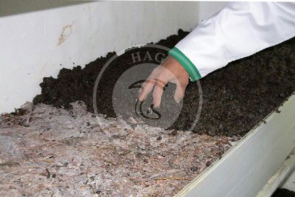 مراحل پرورش قارچ خوراکی از 0 تا 100, هاگ