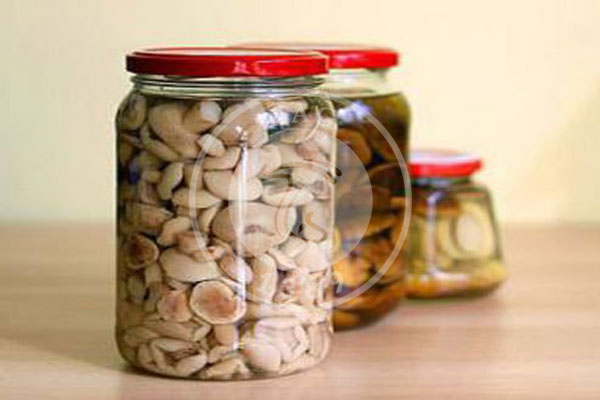 نگهداری از قارچ با روش کنسرو کردن (قسمت دوم), هاگ