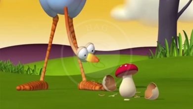 انیمیشن حیوانات و قارچ جادویی