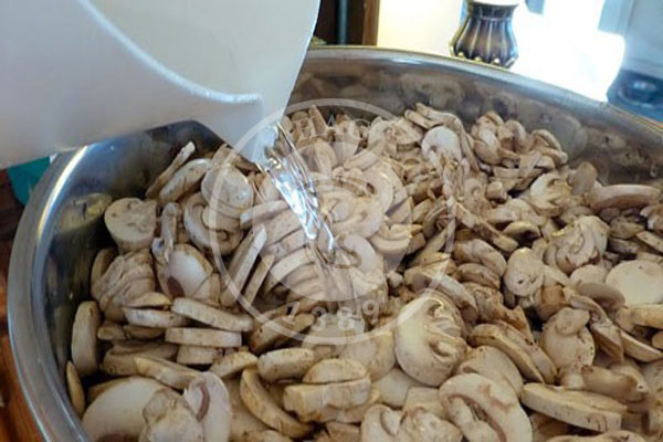 نگه داری از قارچ به روش بلانچ کردن, هاگ