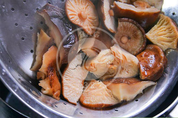 نگهداری از قارچ به روش بخار پز کردن, هاگ