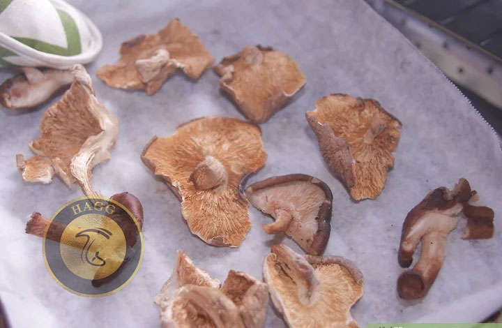 آماده شدن Dried mushroom