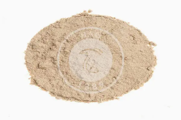 نگهداری از قارچ با روش پودر کردن طرز تهیه پودر قارچ