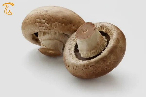 قارچ را می‌توان هم به صورت خام و هم به صورت مطبوخ مصرف كنید اما مصرف به صورت مطبوخ بهتر است