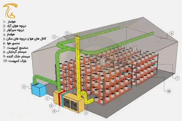 مراحل پرورش قارچ دکمهای| سیستم گردش هوا و دمای سالن پرورش و تولید قارچ دکمه ای