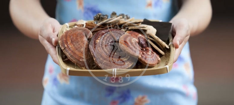 گانودرما و درمان التهاب, هاگ