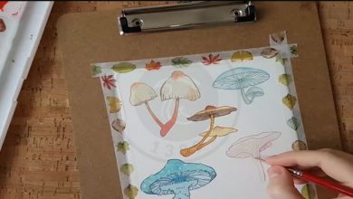 نقاشی قارچ با آبرنگ