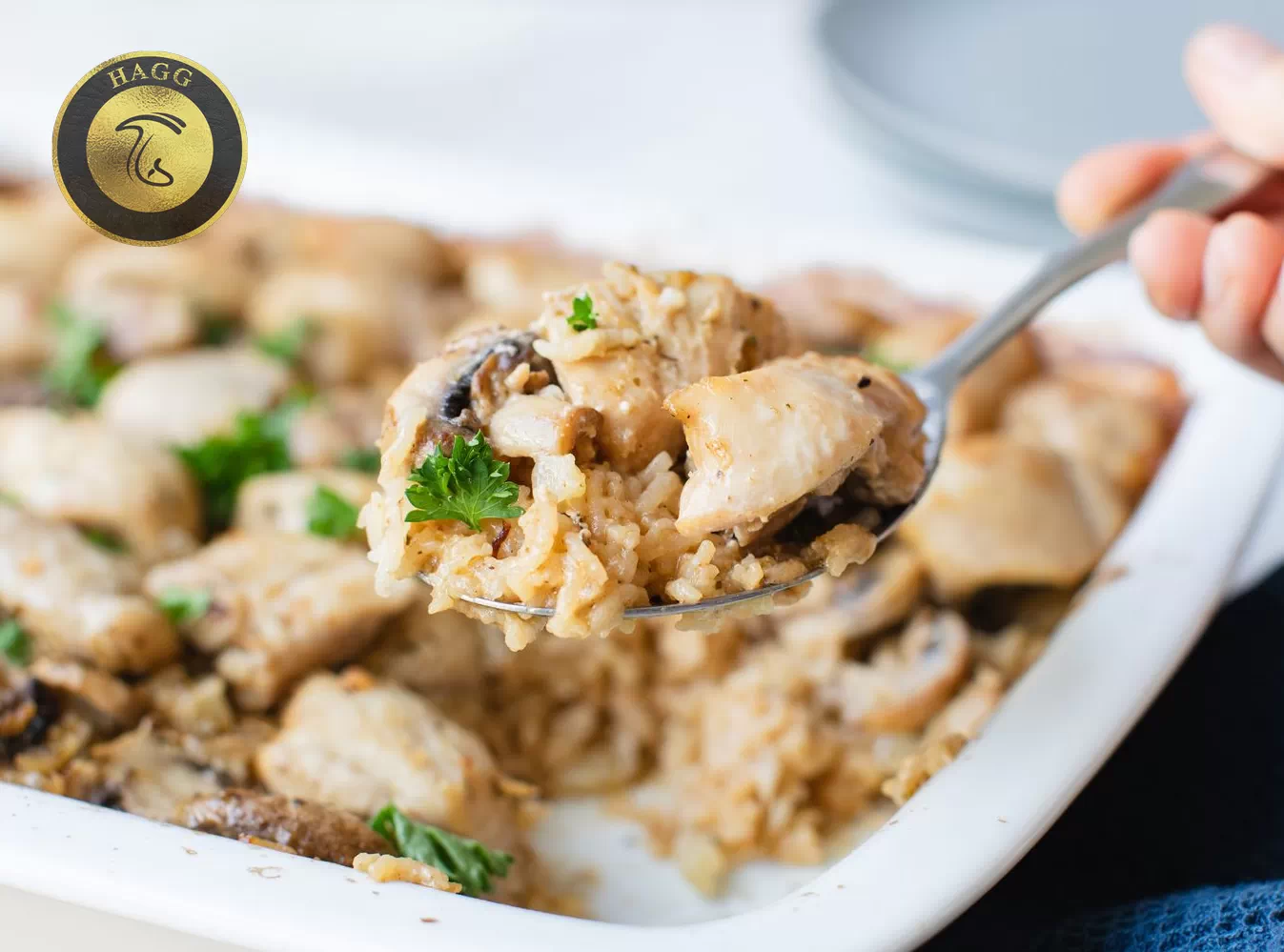 طرز تهیه خورشت مرغ و قارچ خورشت فیله مرغ