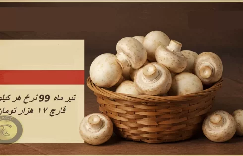 عکس مربوط به مقاله خبری بحران صنعت قارچ در کشور در سال 99