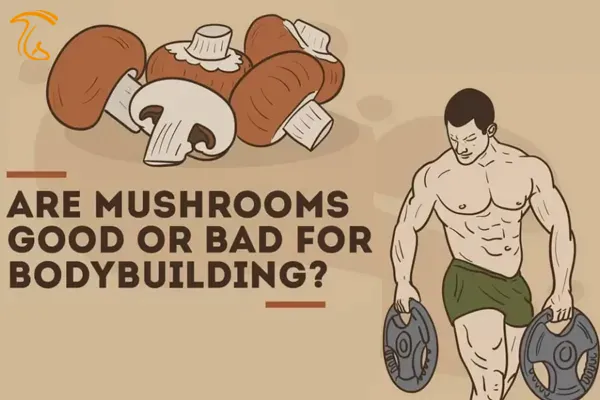 آیا خوردن قارچ در بدنسازی تاثیری دارد؟