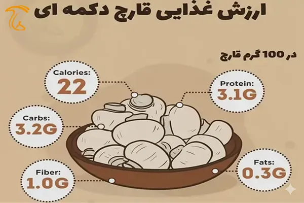 ارزش غذایی قارچ