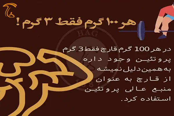 مزایای قارچ برای بدنسازی