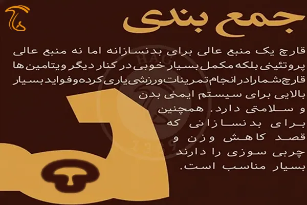 قارچ برای بدنسازی