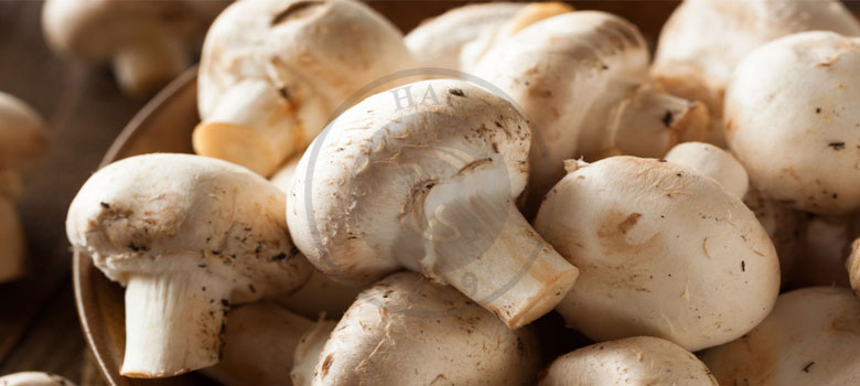 راهکارهای جلوگیری و کاهش قهوه‌ای شدن آنزیمی در قارچ خوراکی