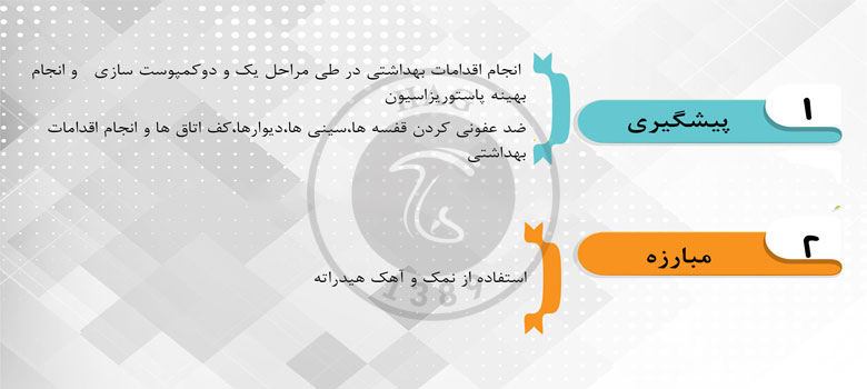آفات قارچ