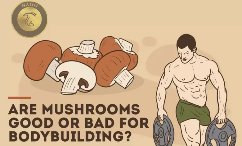 آیا خوردن قارچ در بدنسازی تاثیری دارد؟