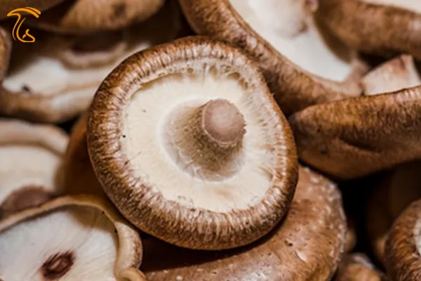 الکماه درمانی