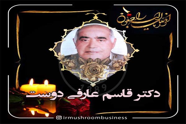 پیام _ تسلیت, هاگ
