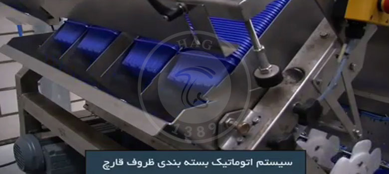 سیستم اتوماتیک بسته‌بندی ظروف قارچ