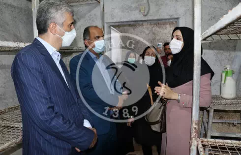 عکس مربوط به افتتاح طرح خود اشتغالی به مناسبت گرامیداشت هفته بهزیستی در لشت نشاء