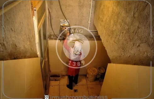 عکس مربوط به حمام‌های قدیمی که محل پرورش قارچ خوراکی شدند