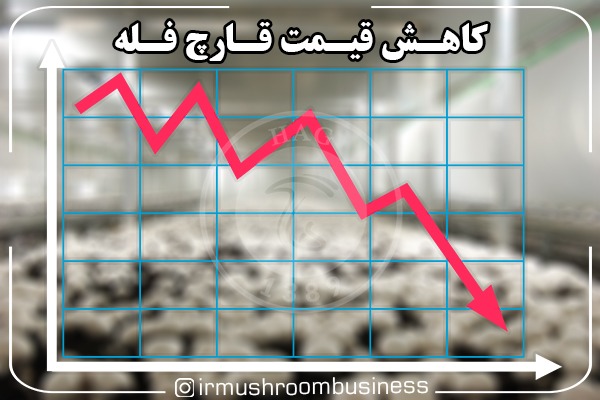 کاهش قیمت قارچ فله در میادین ترهبار تهران 31 فروردین 1400, هاگ