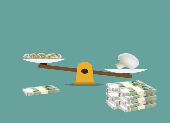 کیفیت یا کمیت محصول, هاگ