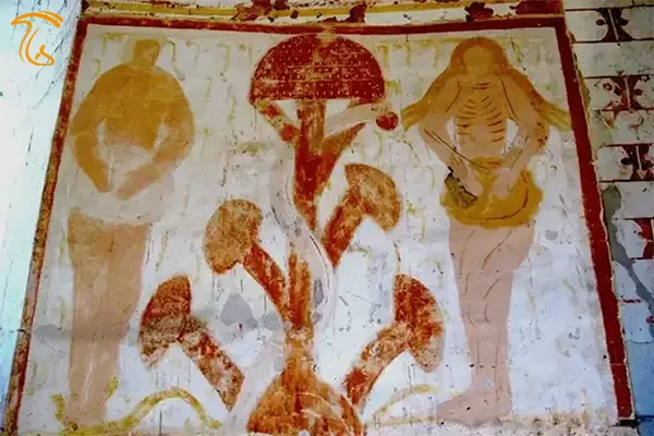 مصرف قارچ جادویی آکمانیتا موسکاریا، تاریخچه چند هزار ساله دارد