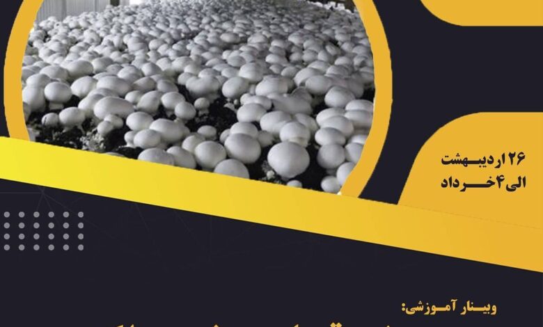 وبینار آموزشی پرورش قارچ خوراکی برگزار میشود, هاگ