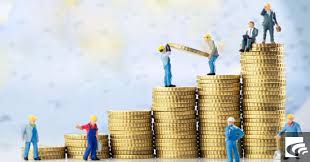 نقش قارچ در اقتصاد مقاومتی