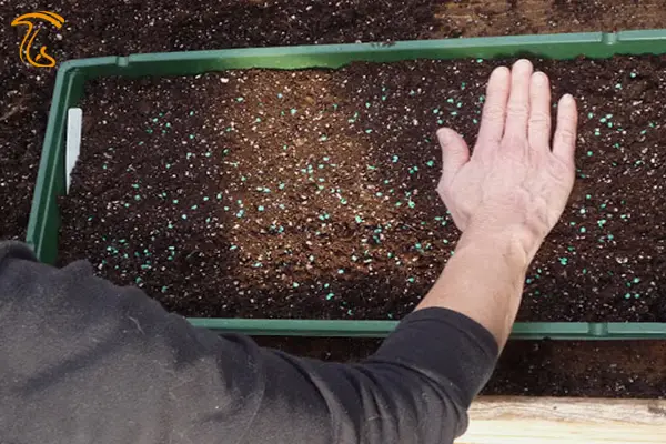 خاک دهی و خاک پوششی در پرورش قارچ