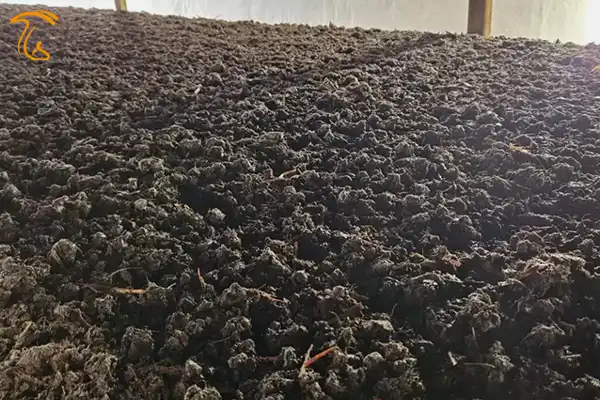 سطح بستر پس از عملیات خاک دهی یا کیسینگ