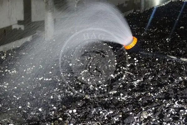  نکات مهم آبیاری قارچ دکمه ای و میزان مصرف آب در پرورش قارچ