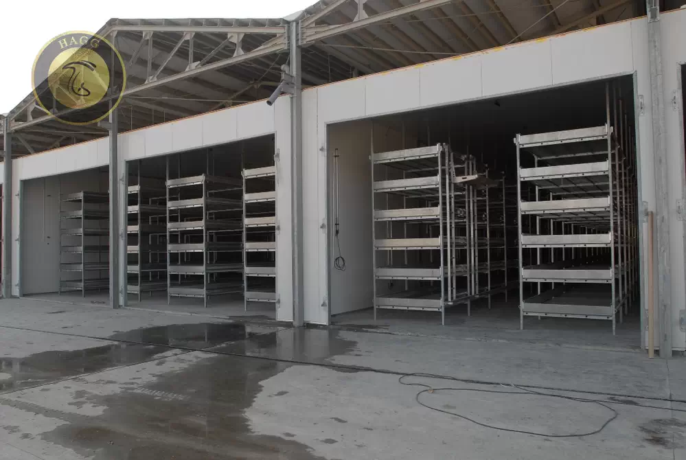 ساخت و احداث سالن پرورش قارچ